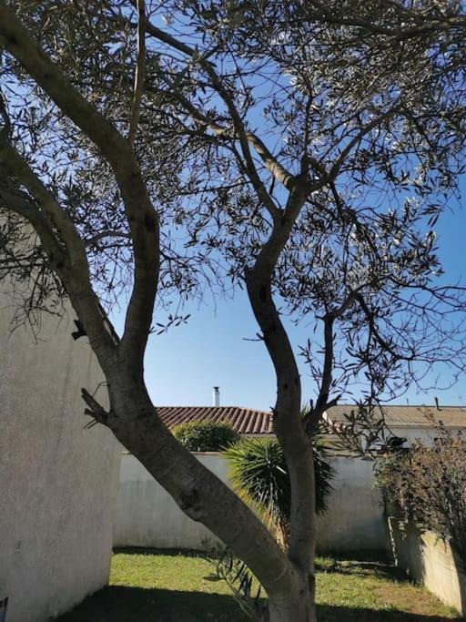Belle Villa De 90M2 Au Calme Avec Jardin Et Parking A 10 Mn De La Mer En Voiture フォス・シュル・メール エクステリア 写真